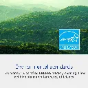 81JAJ3pXyhL._AC_SL1500_.webp